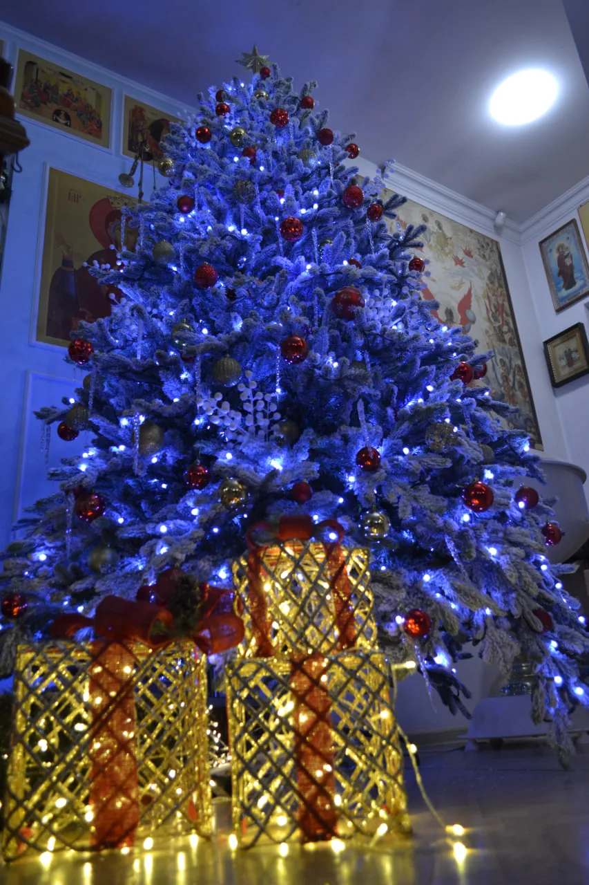 Рождество Христово! (2026). Фотографии с Литургии